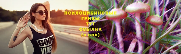 дурь Алексин
