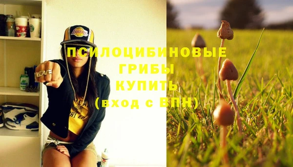 винт Алзамай