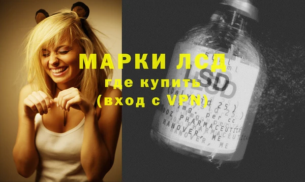 винт Алзамай