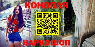 крисы Заводоуковск