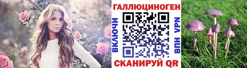 Псилоцибиновые грибы мухоморы  блэк спрут онион  Нижнеудинск 